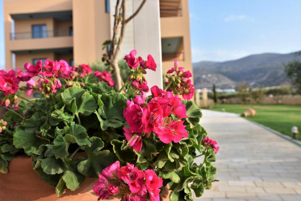 Golden Bay Hotel Apartments Malia Eksteriør billede